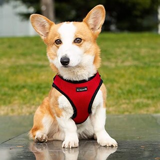 Foto 1 | Foto 1 | Mr. Peanut's Puptrek Small Dog/cat Soft Mesh Step En Harne - Venta Internacional.