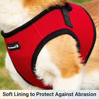 Foto 3 | Foto 3 | Mr. Peanut's Puptrek Small Dog/cat Soft Mesh Step En Harne - Venta Internacional.