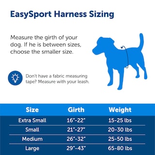 Foto 6 | Foto 6 | Arnés Para Perros Petsafe Easysport Ajustable, Acolchado, Azul, Pequeño - Venta Internacional.