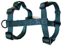 Arnés Para Perros Hamilton Adjustable Comfort De Nylon Verde Oscuro - Venta Internacional.