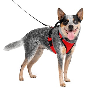 Foto 1 | Foto 1 | Arnés Para Perros Petsafe Easysport Ajustable, Acolchado, Rojo, Mediano - Venta Internacional.