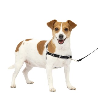 Foto 1 | Foto 1 | Arnés Para Perros Petsafe Easy Walk, Sin Tirar, Pequeño, Color Carbón/negro - Venta Internacional.