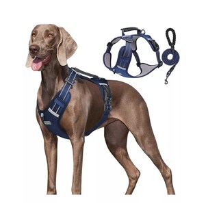 Foto 2 | Foto 2 | Pechera Arnés De Seguridad Para Perro  Talla Xs Eo Safe Imports Esi-16406 Azul