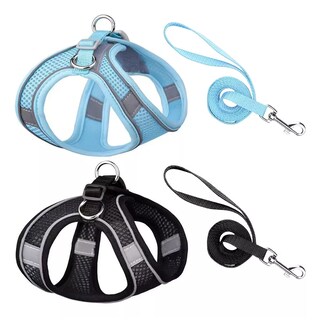 Foto 1 | Foto 1 | Set 2 Pechera Arnés Y Correa Para Perros Y Gatos Estilo 2 Talla S Eo Safe Imports Esi-17808 Multicolor