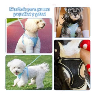 Foto 2 | Foto 2 | Set 2 Pechera Arnés Y Correa Para Perros Y Gatos Estilo 2 Talla S Eo Safe Imports Esi-17808 Multicolor