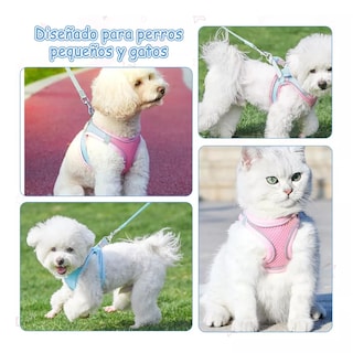Foto 2 | Foto 2 | Set 2 Pechera Arnés Y Correa Para Perros Y Gatos Estilo1 Talla L Eo Safe Imports Esi-17806 Multicolor