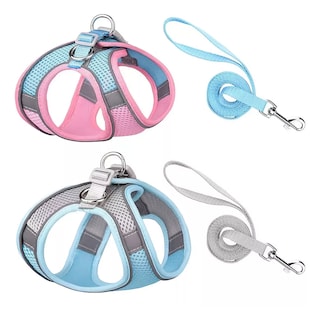 Foto 1 | Foto 1 | Set 2 Pechera Arnés Y Correa Para Perros Y Gatos Estilo1 Talla Xs Eo Safe Imports Esi-17803 Multicolor