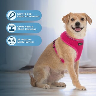 Foto 5 | Foto 5 | Arnés Para Perros Voyager Aerolite, Malla Antitracción, Fucsia, Talla L - Venta Internacional.