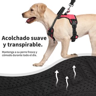 Foto 2 | Foto 2 | Pechera Arnés Para Perro Regulable Con Bandas Reflectivas Xl Eo Safe Imports Esi-11564-1 Rosa