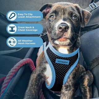 Foto 2 | Foto 2 | Arnés Para Mascotas, Los Mejores Suministros Para Mascotas, Malla Para Todo Clima - Venta Internacional.