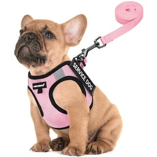 Foto 1 | Foto 1 | Chaleco Fayogoo Para Perros De Servicio, Ligero, Para Razas Pequeñas, Con Parches - Venta Internacional.