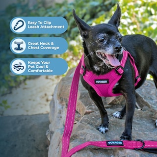 Foto 2 | Foto 2 | Chaleco Para Perros Best Pet Supplies Voyager, Color Fucsia, Talla S - Venta Internacional.