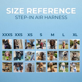 Foto 6 | Foto 6 | Arnés Para Perros Voyager Step-in Air Para Todo Tipo De Clima Para Mascotas S/m - Venta Internacional.