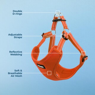 Foto 3 | Foto 3 | Chaleco Para Perros Best Pet Supplies Voyager Orange M - Venta Internacional.