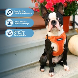 Foto 5 | Foto 5 | Chaleco Para Perros Best Pet Supplies Voyager Orange M - Venta Internacional.