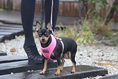 Foto 3 | Foto 3 | Arnés Para Perros Puppia Soft, No Se Ahoga, De Malla Transpirable, Rosa, Pequeño - Venta Internacional.