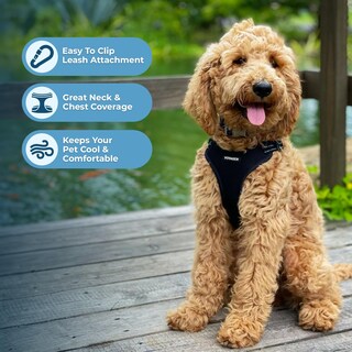 Foto 5 | Foto 5 | Chaleco Para Perros Best Pet Supplies Voyager Black S - Venta Internacional.