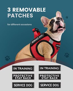 Foto 3 | Foto 3 | Chaleco Fayogoo Para Perros De Servicio, Ligero, Para Razas Pequeñas, Con Parches - Venta Internacional.