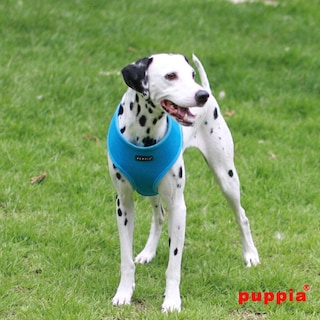 Foto 3 | Foto 3 | Arnés Para Perros Puppia Soft, No Se Ahoga, Malla Transpirable, Azul Cielo, Talla M - Venta Internacional.