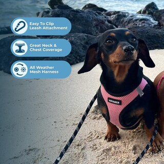 Foto 5 | Foto 5 | Arnés Para Perros Voyager Step-in Air, Malla Para Todo Clima, Rosa L - Venta Internacional.