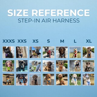 Foto 6 | Foto 6 | Arnés Para Perros Voyager Step-in Air, Malla Para Todo Clima, Rosa L - Venta Internacional.