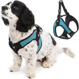 Foto 1 | Foto 1 | Arnés Gooby Turquesa X-small Easy Fit Para Perros Pequeños - Venta Internacional.