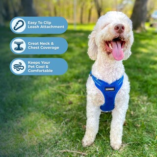Foto 5 | Foto 5 | Chaleco Para Perros Best Pet Supplies Voyager Royal Blue M - Venta Internacional.