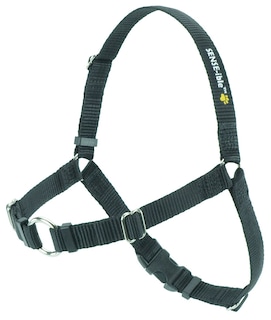 Foto 1 | Foto 1 | Arnés Para Perros Softouch Sense-ible No-pull, Negro, Mediano - Venta Internacional.