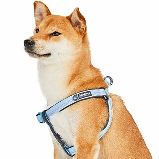 Foto 1 | Foto 1 | Arnés Para Perros Blueberry Pet, Suave Y Cómodo, De Neopreno Reflectante - Venta Internacional.