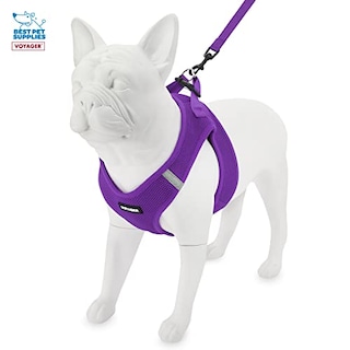 Foto 4 | Foto 4 | Arnés De Correa Best Pet Supplies Voyager Step-in Air Purple S - Venta Internacional.