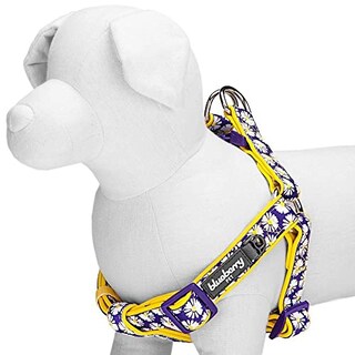 Foto 3 | Foto 3 | Arnés Para Perros Pequeños Con Estampado De Margaritas Con Arándanos Y Mascotas - Venta Internacional.