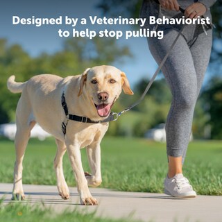 Foto 2 | Foto 2 | Arnés Para Perros Petsafe Easy Walk Ultimate Sin Tirones - Venta Internacional.