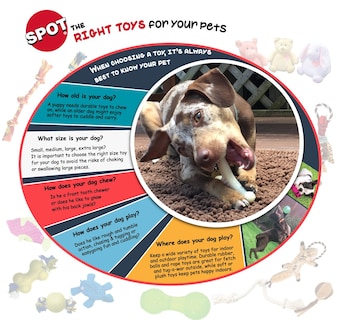 Foto 4 | Foto 4 | Juguete Para Perros Spot Skinneeez Extreme Quilted Chipmunk, 14 Pulgadas - Venta Internacional.
