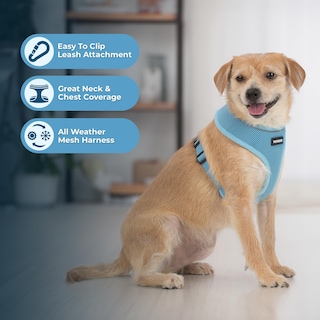 Foto 5 | Foto 5 | Arnés Para Perros Voyager Aerolite Sin Tracción, Malla, Color Azul Bebé, Xs - Venta Internacional.