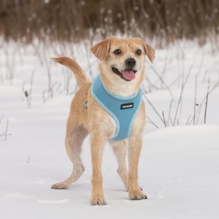 Foto 7 | Foto 7 | Arnés Para Perros Voyager Aerolite Sin Tracción, Malla, Color Azul Bebé, Xs - Venta Internacional.