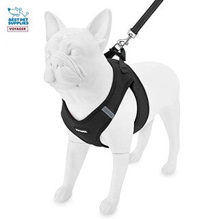 Foto 4 | Foto 4 | Arnés De Correa Best Pet Supplies Voyager Step-in Air Black S - Venta Internacional.