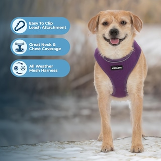 Foto 5 | Foto 5 | Arnés Para Perros Voyager Aerolite, Malla Antitracción, Color Morado, Talla S - Venta Internacional.