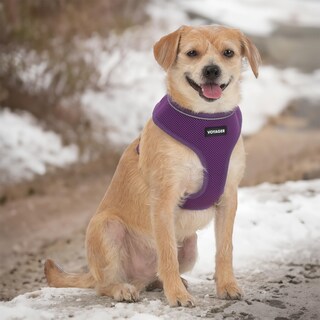 Foto 7 | Foto 7 | Arnés Para Perros Voyager Aerolite, Malla Antitracción, Color Morado, Talla S - Venta Internacional.