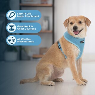 Foto 5 | Foto 5 | Arnés Para Perros Voyager Aerolite, Malla Sin Tirones, Color Azul Bebé, Talla L - Venta Internacional.