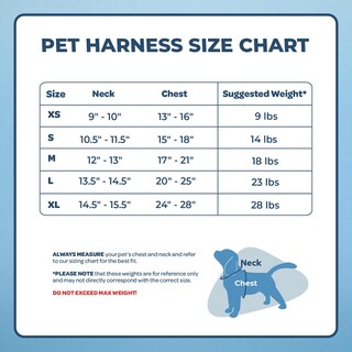 Foto 6 | Foto 6 | Arnés Para Perros Voyager Aerolite, Malla Sin Tirones, Color Azul Bebé, Talla M - Venta Internacional.