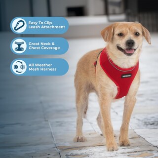 Foto 5 | Foto 5 | Arnés Para Perros Voyager Aerolite, Malla Antitracción, Color Rojo, Talla M - Venta Internacional.