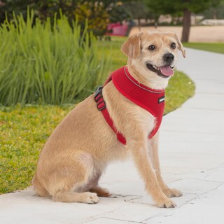 Foto 7 | Foto 7 | Arnés Para Perros Voyager Aerolite, Malla Antitracción, Color Rojo, Talla M - Venta Internacional.
