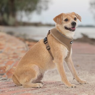 Foto 7 | Foto 7 | Arnés Para Perros Voyager Aerolite, Malla Sin Tirones, Color Beige, Talla M - Venta Internacional.