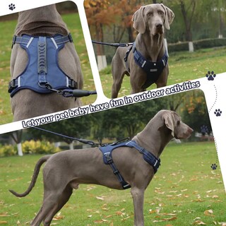Foto 3 | Foto 3 | Pechera Lab.g Arnés De Seguridad Para Perro Azul Marino Talla M