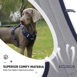 Foto 5 | Foto 5 | Pechera Lab.g Arnés De Seguridad Para Perro Azul Marino Talla M