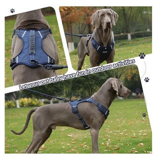 Foto 3 | Foto 3 | Pechera Arnés De Seguridad Para Perro Azul Marino Talla G Belug