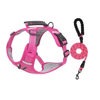 Foto 1 | Foto 1 | Pechera Arnés De Seguridad Para Perro Fucsia Talla S Belug