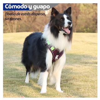 Foto 4 | Foto 4 | Pecheras Para Perros Con Cuerda De Tracción Belug Purple Talla S