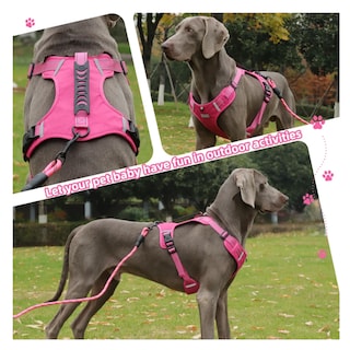 Foto 4 | Foto 4 | Pechera Arnés De Seguridad Para Perro Lab.g, Fucsia Talla Xl