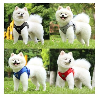 Foto 4 | Foto 4 | Pechera Belug Regulable Con Bandas Rojo Talla Chico